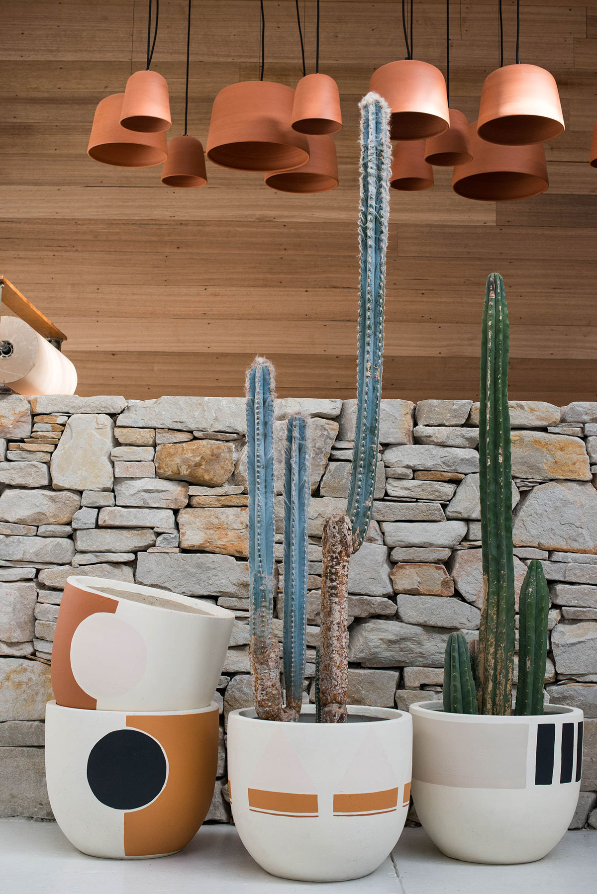 Hunting-for-George-Pop-and-Scott-Desert-Dreams