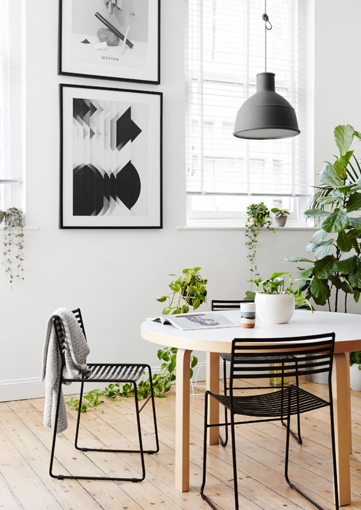 Top 5 Reasons Your Indoor Plants Die During Winter Hunting for