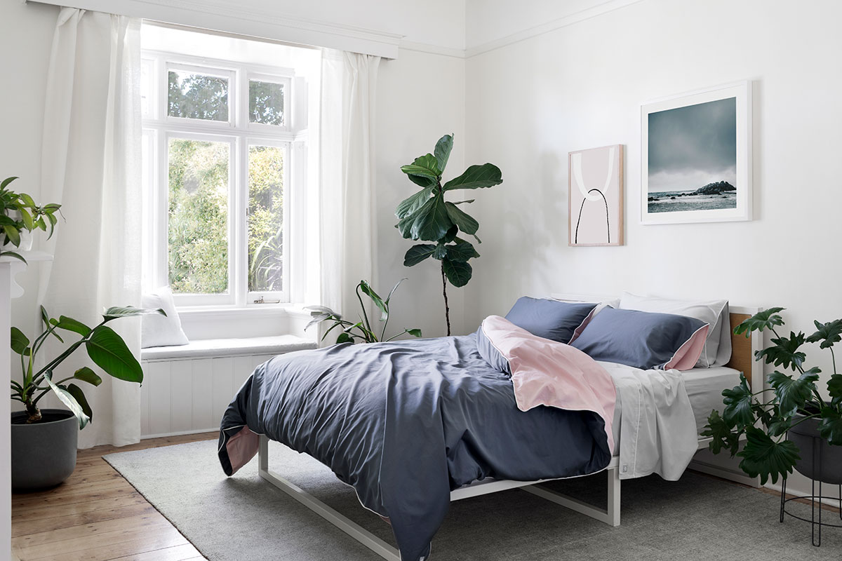 3 Benefits of Keeping Plants in Your Bedroom | Hunting for George